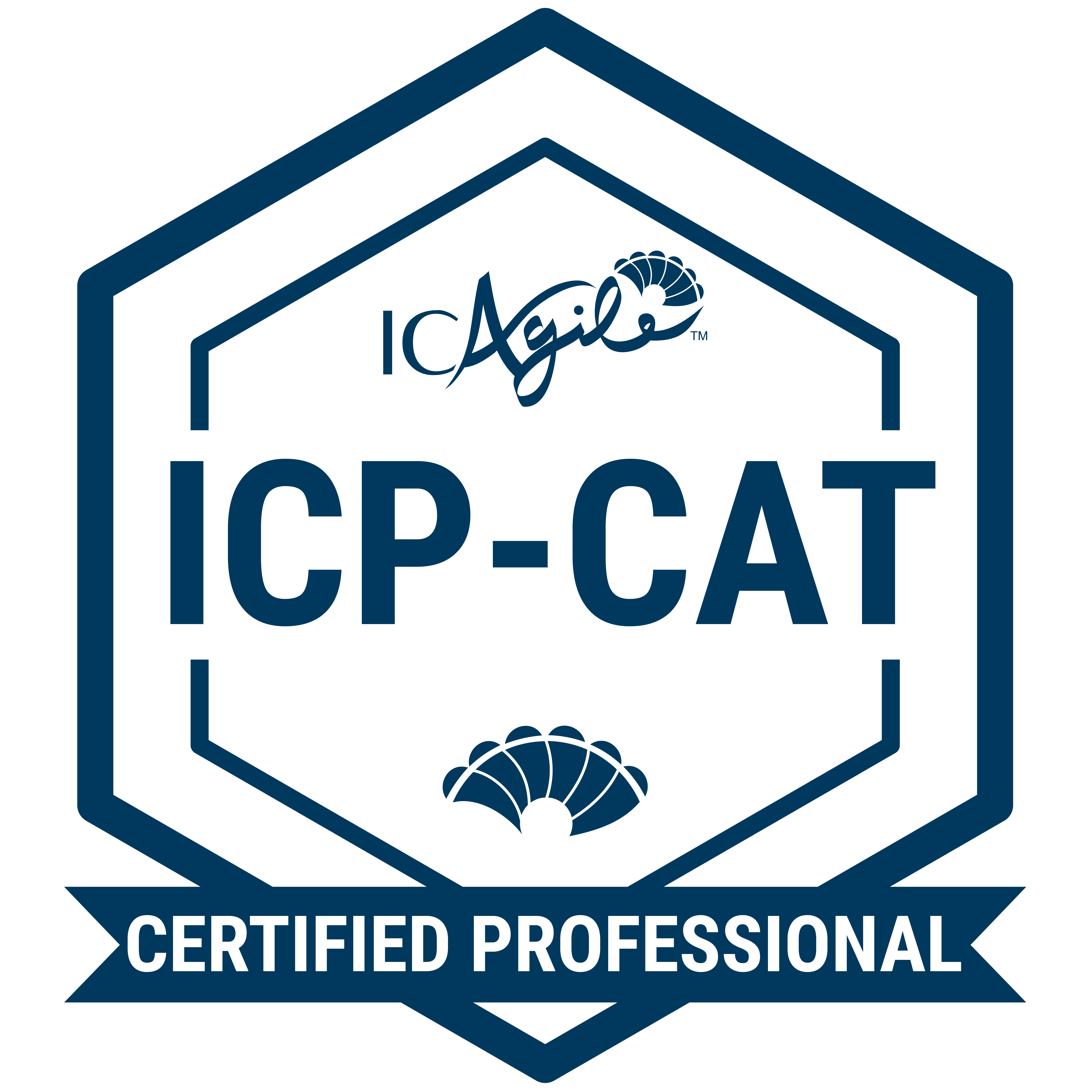 icp coaching agile transitions certified professional
